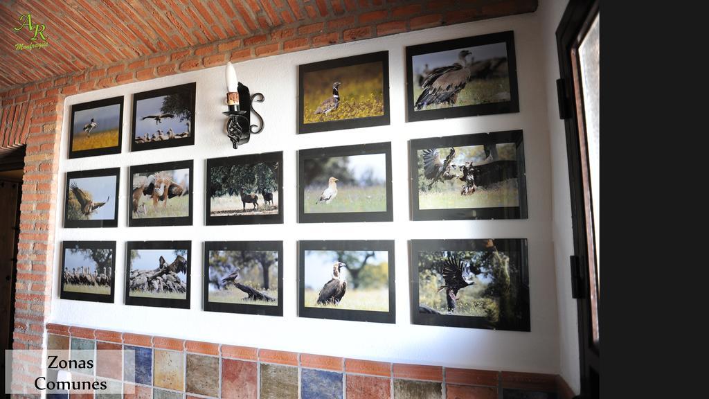 Apartamentos Rurales Monfragüe Torrejón el Rubio Exterior foto